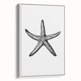 Black & White Starfish Coastal Wall Art - Nautical Decor Ocean Art Print