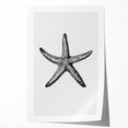 Black & White Starfish Coastal Wall Art - Nautical Decor Ocean Art Print