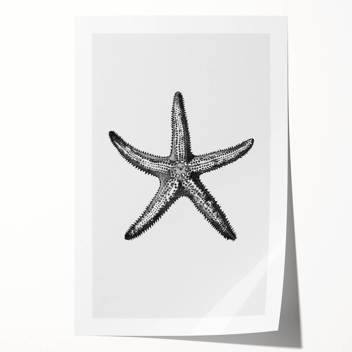 Black & White Starfish Coastal Wall Art - Nautical Decor Ocean Art Print