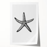 Black & White Starfish Coastal Wall Art - Nautical Decor Ocean Art Print