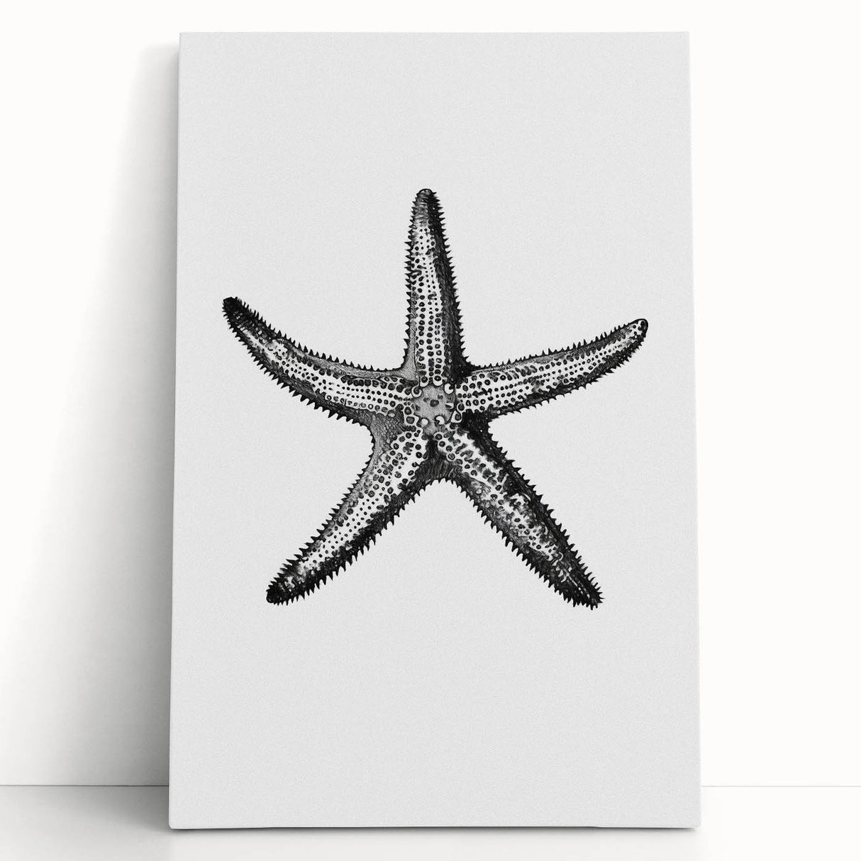 Black & White Starfish Coastal Wall Art - Nautical Decor Ocean Art Print