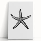Black & White Starfish Coastal Wall Art - Nautical Decor Ocean Art Print