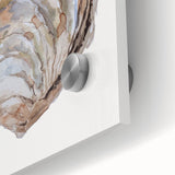 Coastal Wall Art - Nautical Oyster Shell Design for Seaside Living Decor