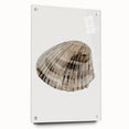 Coastal Wall Art - Nautical Seashell Print for Beach-Themed Decor