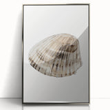 Coastal Wall Art - Nautical Seashell Print for Beach-Themed Decor