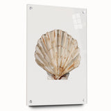 Coastal Wall Art - Nautical Seashell Beach-Themed Decor for Seaside Homes