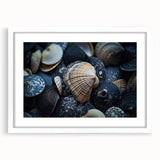 Seashell Close-Up Coastal Wall Art – Ocean-Themed Nature Print