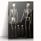 Dark Academia Wall Art: Skeleton Family in Shadows, Gothic Print