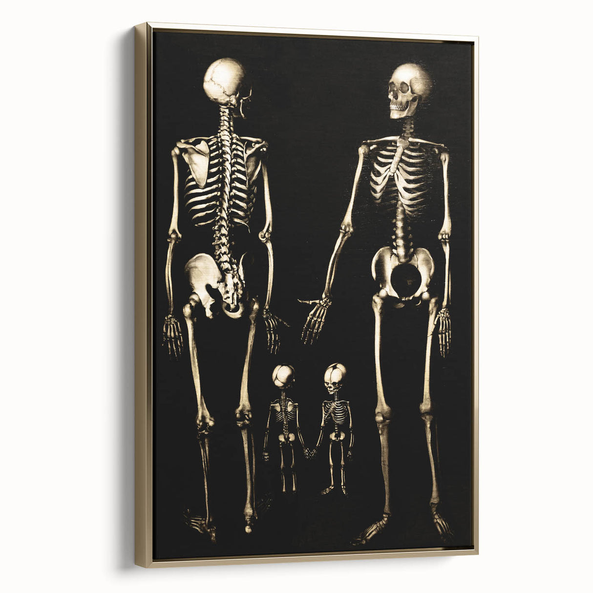 Dark Academia Wall Art: Skeleton Family in Shadows, Gothic Print