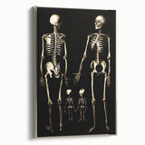 Dark Academia Wall Art: Skeleton Family in Shadows, Gothic Print