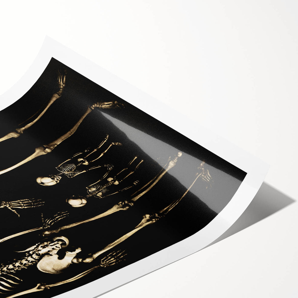 Dark Academia Wall Art: Skeleton Family in Shadows, Gothic Print