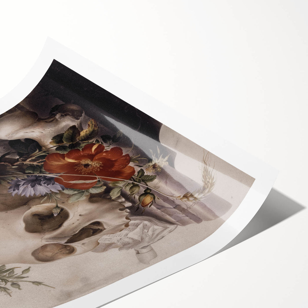 Skull with Floral Crown | Dark Academia Vintage Gothic Wall Art Print