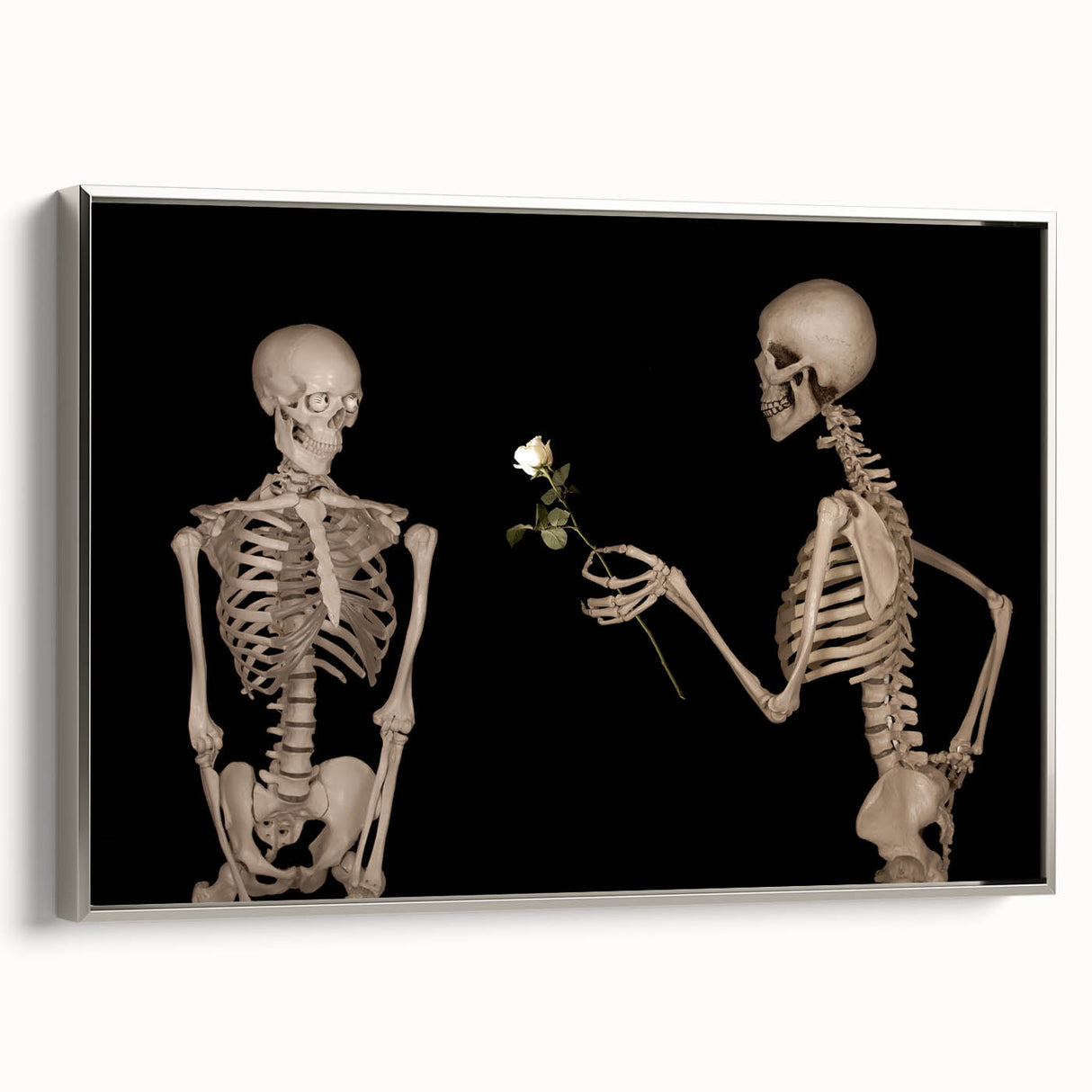 Dark Academia Wall Art – Skeletons with White Rose in Gothic Scene