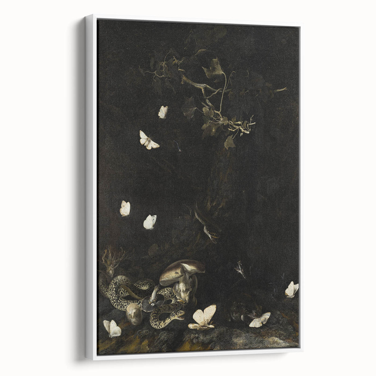 Dark Moody Wall Art with Snakes and Moths | Dramatic Moody Art Prints
