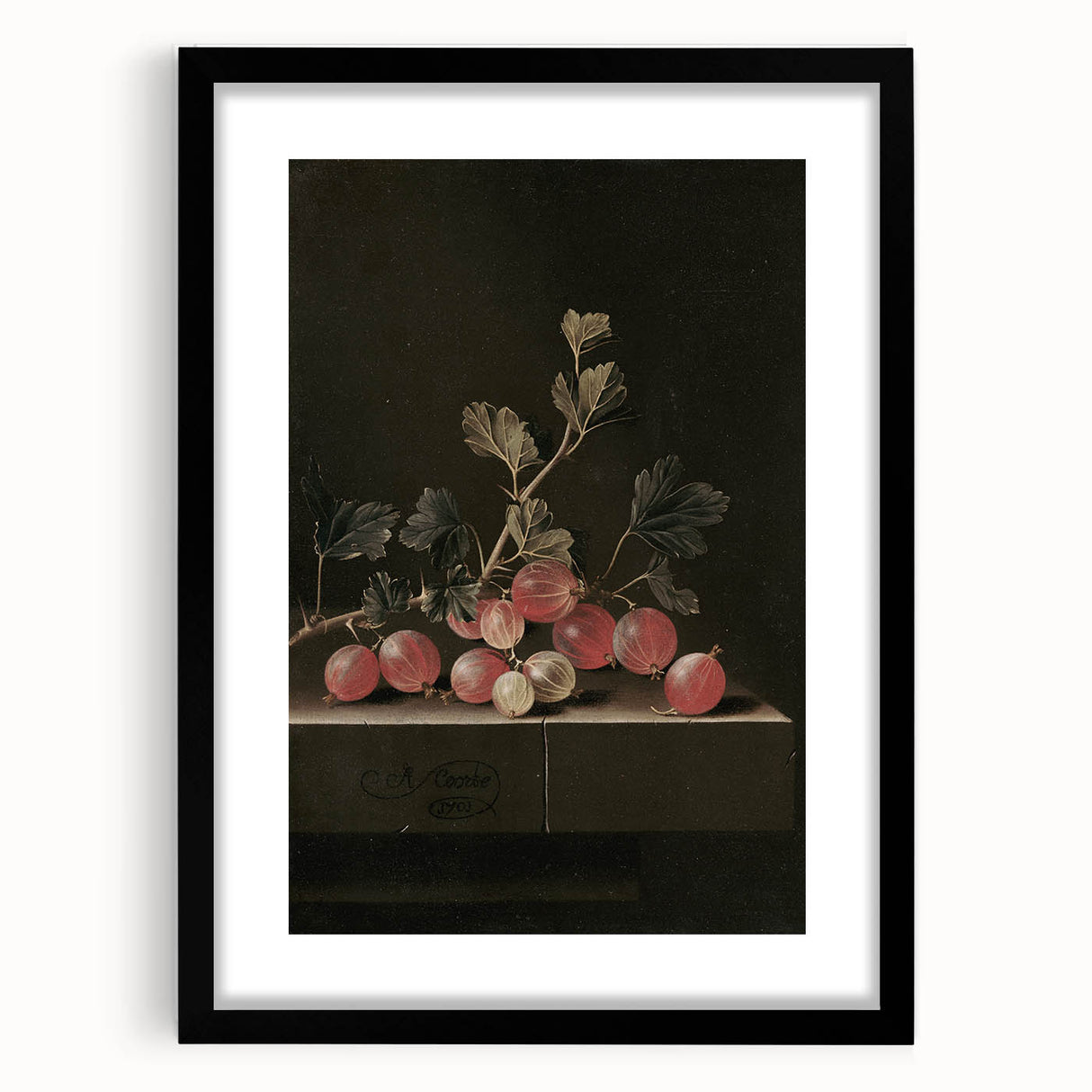 Moody Interior Art: Dark Gooseberry Still Life Print for Home Decor