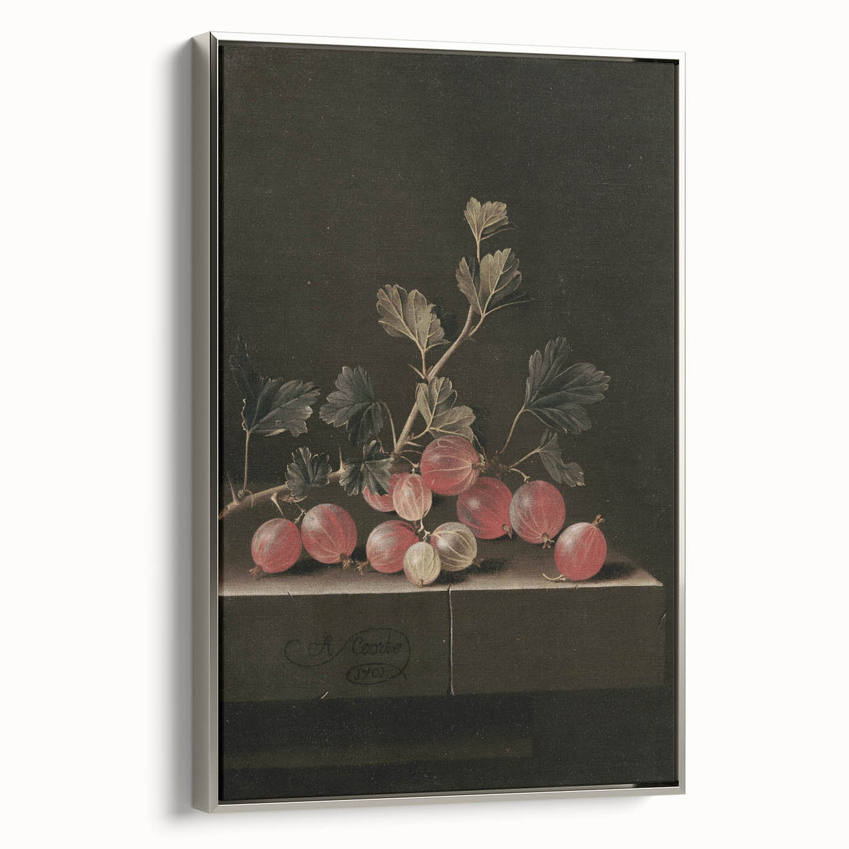 Moody Interior Art: Dark Gooseberry Still Life Print for Home Decor