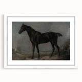 Moody Art Prints - Dark Horse Portrait for Timeless Wall Decor