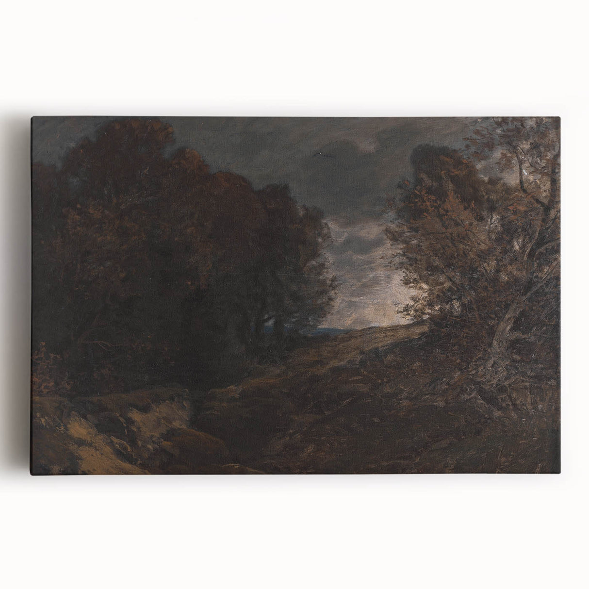 Moody Art Prints - Dark Forest Landscape for Atmospheric Wall Decor
