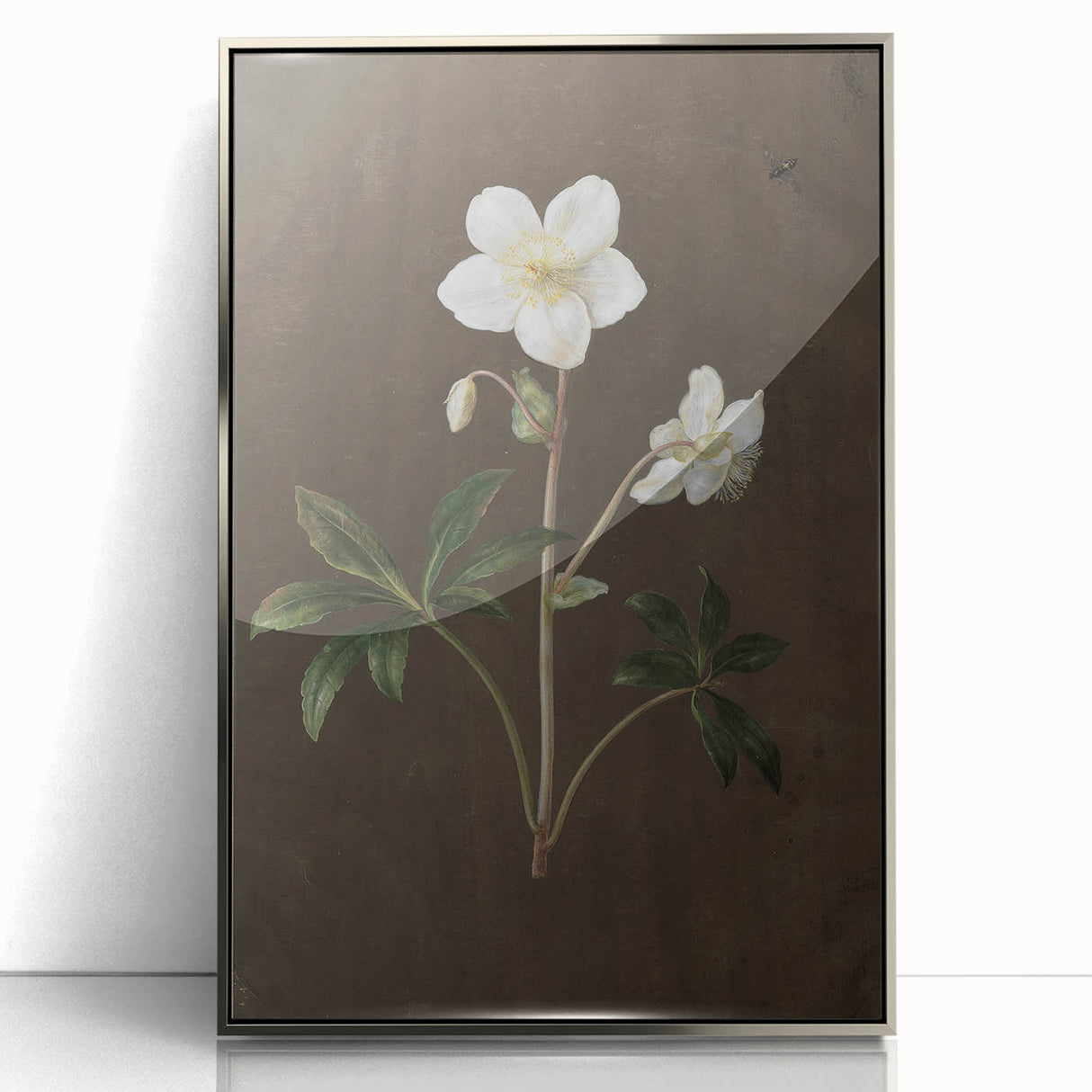 Dark Moody Botanical Art: White Flower Illustration for Interior Decor