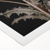 Dark Moody Wall Art - Botanical Elegance with Butterflies and Snails