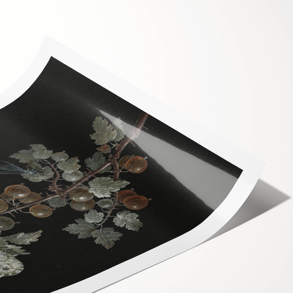 Dark Moody Wall Art - Intricate Botanical with Insects for Elegant Decor
