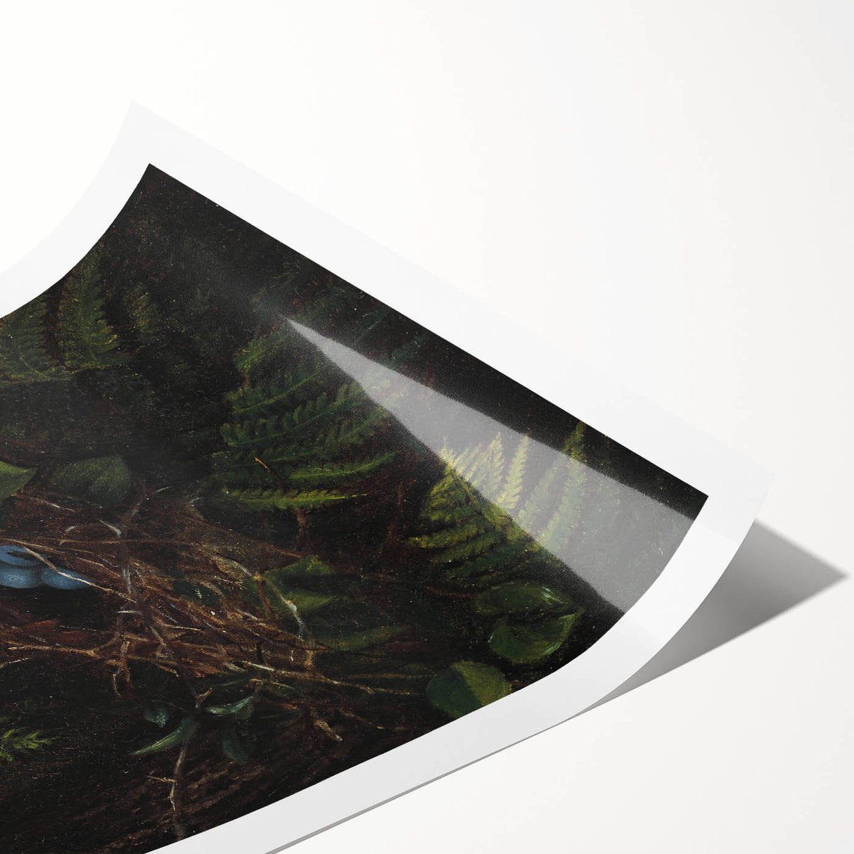 Dark Moody Wall Art - Nest with Blue Eggs for Natural Interior Decor