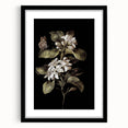 Dark Moody Wall Art: Timeless Botanical Art Print with Dramatic Tones