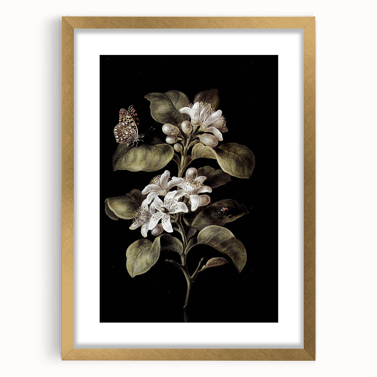 Dark Moody Wall Art: Timeless Botanical Art Print with Dramatic Tones