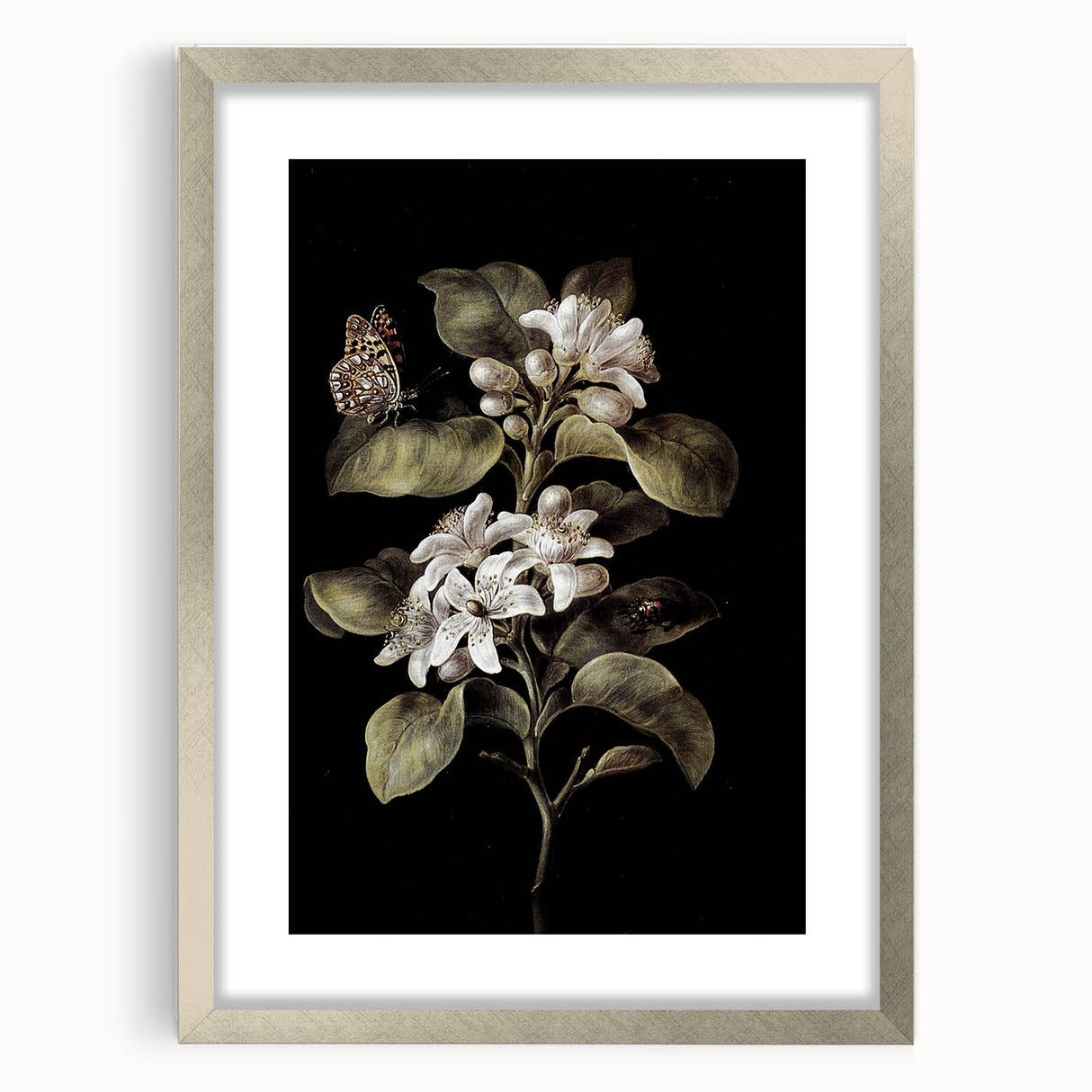 Dark Moody Wall Art: Timeless Botanical Art Print with Dramatic Tones