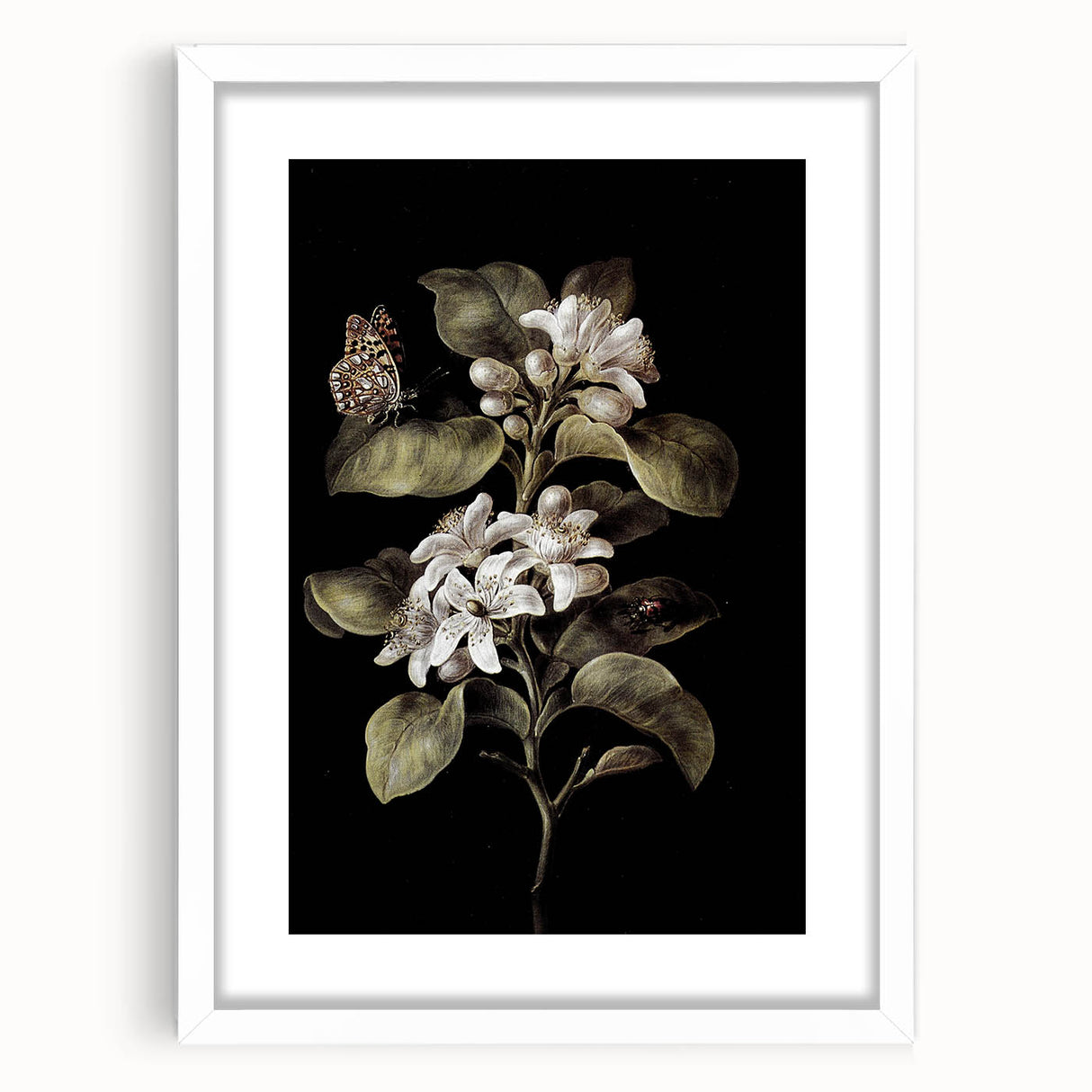 Dark Moody Wall Art: Timeless Botanical Art Print with Dramatic Tones