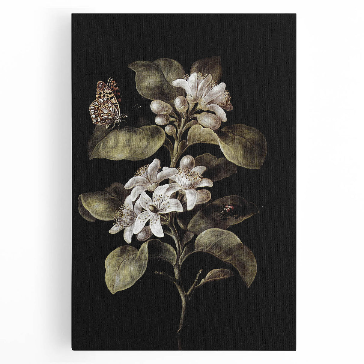 Dark Moody Wall Art: Timeless Botanical Art Print with Dramatic Tones