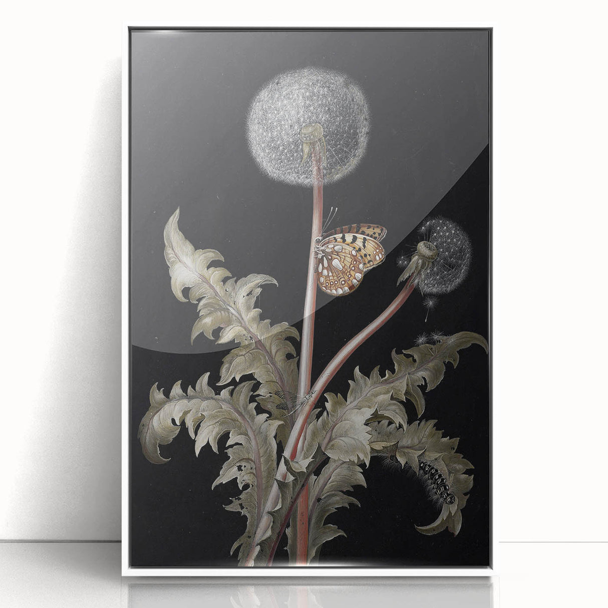 Moody Nature Art | Dark Floral and Butterfly Prints for Elegant Spaces