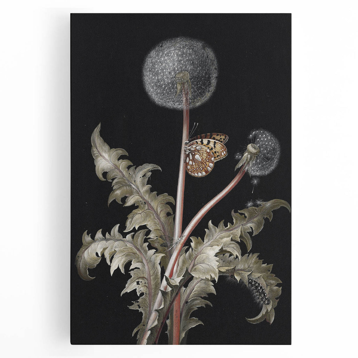 Moody Nature Art | Dark Floral and Butterfly Prints for Elegant Spaces