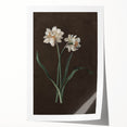 Moody Art Prints - Elegant Floral Still Life for Timeless Wall Decor