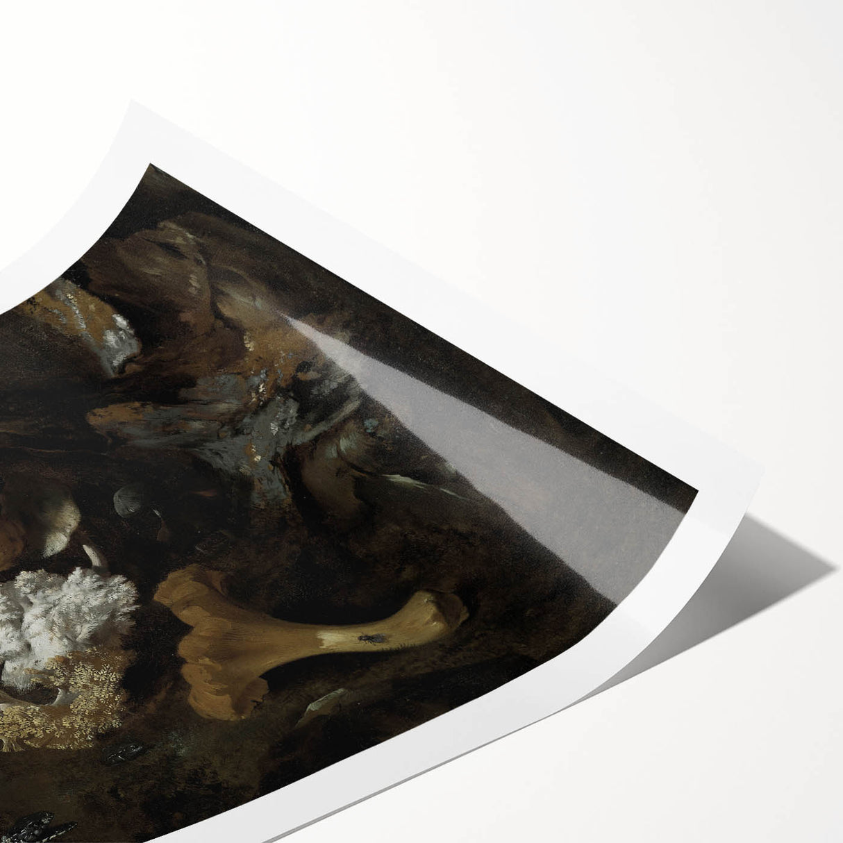 Dark Moody Mushroom Still Life - Atmospheric Botanical Wall Art Decor
