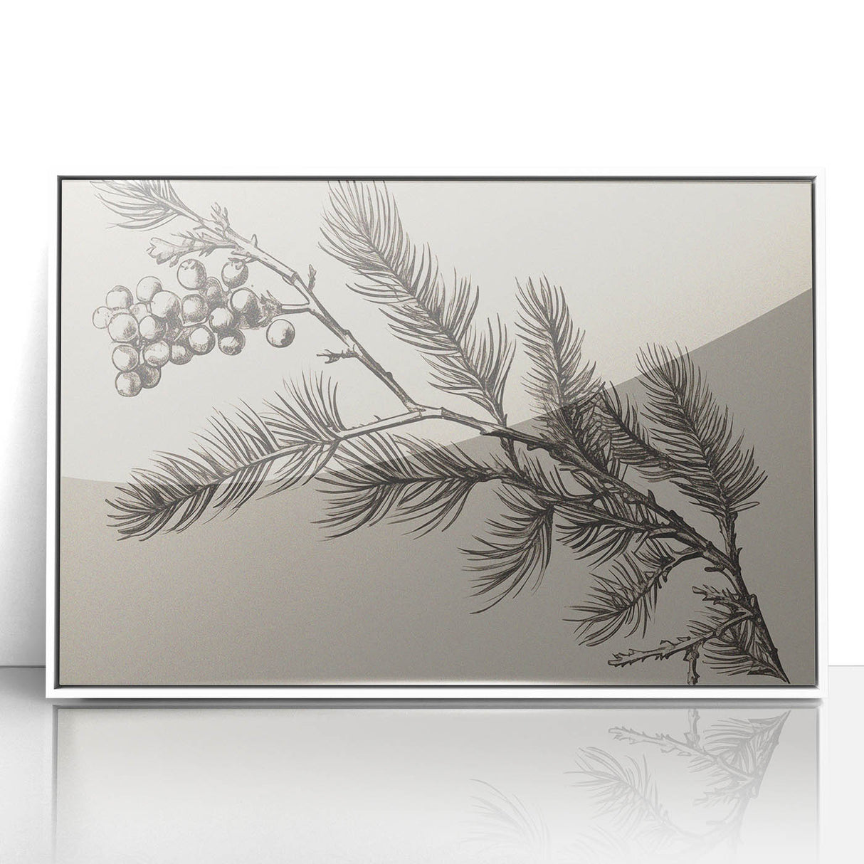 Electric Wall Art - Botanical Sketch of Pine Branch - Minimalist Decor