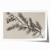 Electric Wall Art - Botanical Sketch of Pine Branch - Minimalist Decor