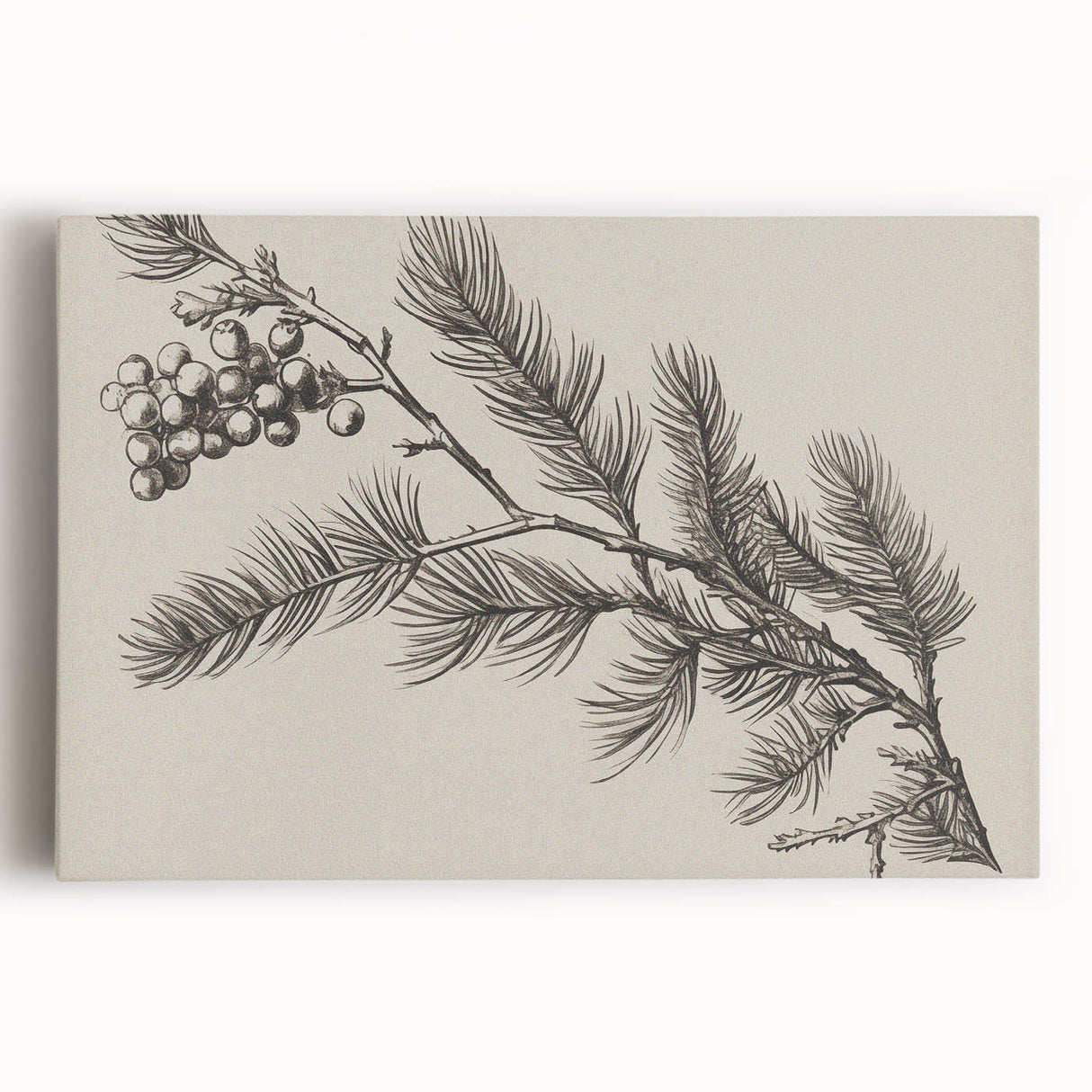 Electric Wall Art - Botanical Sketch of Pine Branch - Minimalist Decor