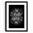 Electric Wall Art – Dramatic Floral Black and White Modern Electric Decor
