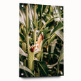 Farmhouse Wall Art Corn Stalk Print | Rustic Farmhouse Country Decor
