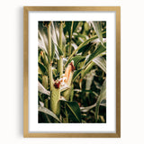 Farmhouse Wall Art Corn Stalk Print | Rustic Farmhouse Country Decor