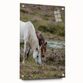 Rustic Horses Grazing Farmhouse Wall Art – Country Style Animal Decor