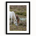 Rustic Horses Grazing Farmhouse Wall Art – Country Style Animal Decor