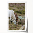 Rustic Horses Grazing Farmhouse Wall Art – Country Style Animal Decor