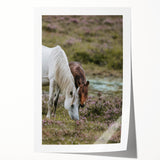 Rustic Horses Grazing Farmhouse Wall Art – Country Style Animal Decor