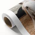 Rustic White Horse Close-Up Farmhouse Wall Art – Country Style Decor