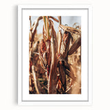 Farmhouse Wall Art Dried Cornfield Print | Rustic Country Harvest Decor