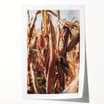 Farmhouse Wall Art Dried Cornfield Print | Rustic Country Harvest Decor