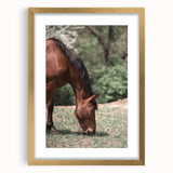Farmhouse Wall Art Horse Grazing Print | Rustic Country Animal Decor