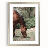 Farmhouse Wall Art Horse Grazing Print | Rustic Country Animal Decor